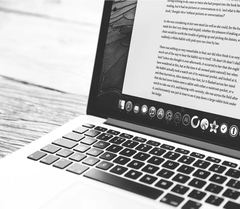 Persoane fizice si companii